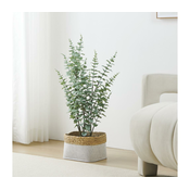 Eglo 428378 - Umetna rastlina v cvetličnem loncu TOBETSU 76x25,5 cm
