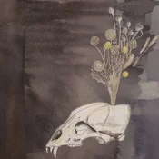 Steve Gunn & Black Twig Pickers - Seasonal Hire (Limited Edition) (LP)