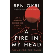 A Fire in My Head