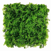 Zeleni panel Zelenolistnati mešan 50x50 cm - zelena - 31 do 50 cm
