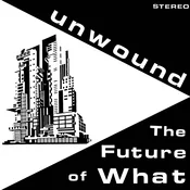 Unwound - The Future Of What (Reissue) (LP)
