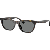 Ray-Ban RB4474D 710/87 54