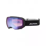ALPINA BIG HORN HM sph. Naocare za skijanje