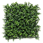 Zeleni panel Eukaliptus 50x50 cm z UV zaščito