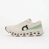 On Cloudmonster 3