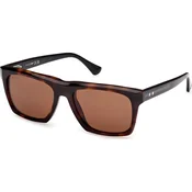 Web Naocare za sunce WE 0350 55E