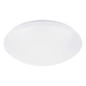 Rabalux 71132 - LED Stropna svjetiljka sa senzorom LUCAS LED/12W/230V IP44 4000K