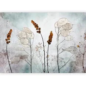 artgeist Fototapeta Lunaria In The Meadow, 300x210cm