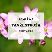 Bachove kapljice 4, Tavžentroža - Centaury, 10 ml