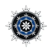 Dungeons & Dragons - omejena izdaja medaljona Neverwinter Heraldry
