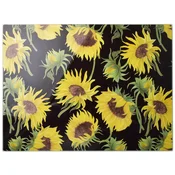 Mondex Deska za rezanje steklo Allesken Aria 40x30cm večbarvna 1kos, (5000301964)