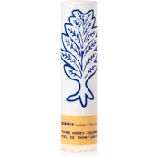 Korres Thyme Honey Shimmery (Lip Balm) 4,5 g