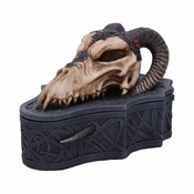 Škatla Skull box (dekoracija) - (Monte Moore) - D5986W2
