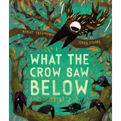 What the Crow saw Below