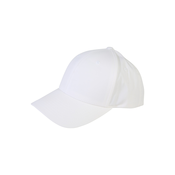 Curved classic snapback white