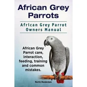 African Grey Parrots African Grey Parro