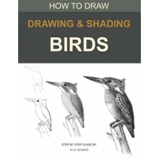 Drawing and shading Birds