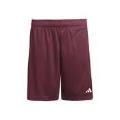 ADIDAS PERFORMANCE Športne hlače ENT26 vinsko rdeča/bela