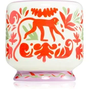 Paddywax A Dopo Jungle dišeča sveča 226 g