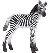 Mojo Zebra mladič nov