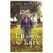 Up With The Lark