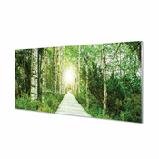 tulup.si Slika na akrilnem steklu Breza drevo gozdna cesta 140x70 cm 4 obešalnika