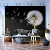 Foto tapeta - Wind and dandelion 350x270