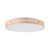 Brilliant - LED Zatemnitvena stropna svetilka WOODBURY LED/24W/230V pr. 39 cm-FSC