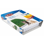 Trixie Mlada trava za mačke 100 g (TRX4232)