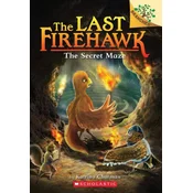 Secret Maze: A Branches Book (The Last Firehawk #10)