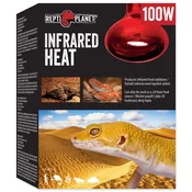 REPTI PLANET Infrardeča žarnica HEAT 100 W