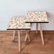 Hanah Home Set klub stocica 2Shp170, 2 komada, Šareni
