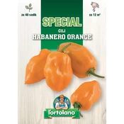 ČILI HABANERO ORANGE