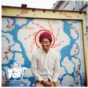 Toro Y Moi - What For? (Reissue) (LP)