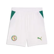 PUMA Senegal 2026 Shorts Men, Performance, White/Archive Green, L