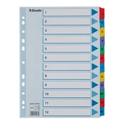 Registrator ESSELTE Mylar A/4 laminirani karton 1-12 100162