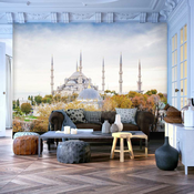 Foto tapeta - Hagia Sophia - Istanbul 250x175