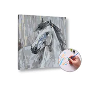 Slikanje po številkah BELI Golob | nizka težavnost - 50x50 cm - raztegnjeno platno na okvirju