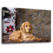 shumee Platno s sliko Živali Koker pes 60x40 cm
