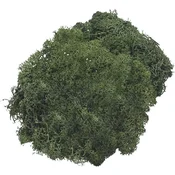 Knorr Prandell 216695469 Okraski Fir Green 250 g 1