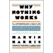 Why Nothing Works
