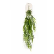 Asparagus plezalka 95 cm - 76 do 100 cm