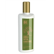 Brazil Keratin Amla Vital Hair regenerator za oštecenu kosu 300 ml