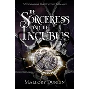The Sorceress and the Incubus