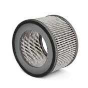 Filter za precišcivac vazduha Soehnle AirFresh Clean 400 ( 359838 )
