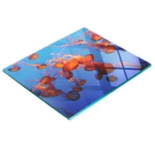 shumee Kuhinjska večnamenska dekorativna tabla iz kaljenega stekla meduza 60x52 cm