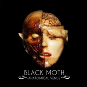 Black Moth - Anatomical Venus (Limited Edition) (LP)
