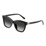 Tiffany & Co. TF4241D 80013C