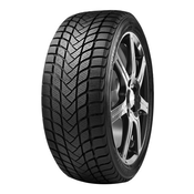 Delinte 155/80R13 79T DELINTE WD6