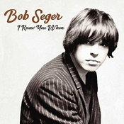 Bob Seger I Knew You When (Vinyl LP)